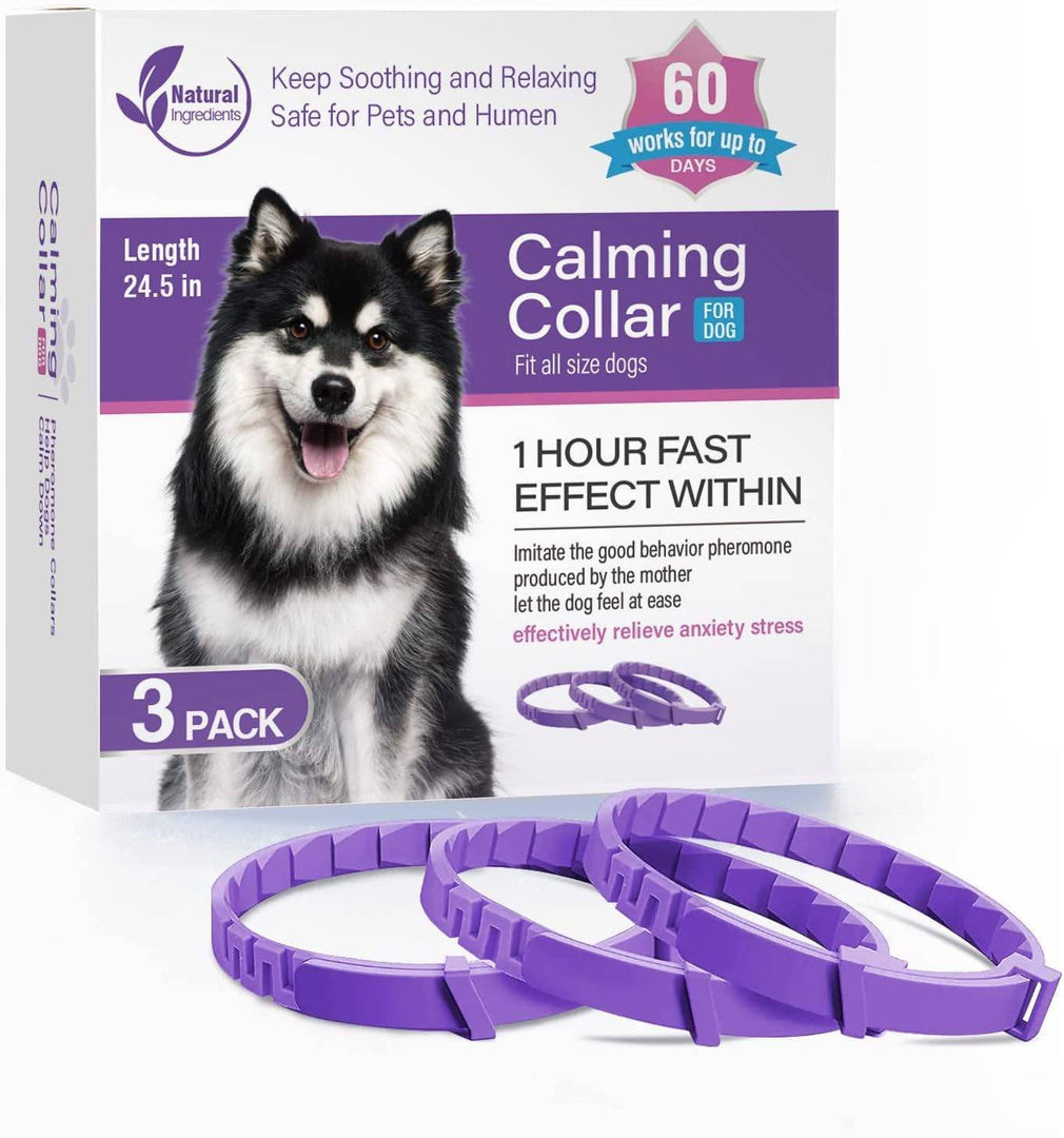 Cat calming collar with lavender scent
