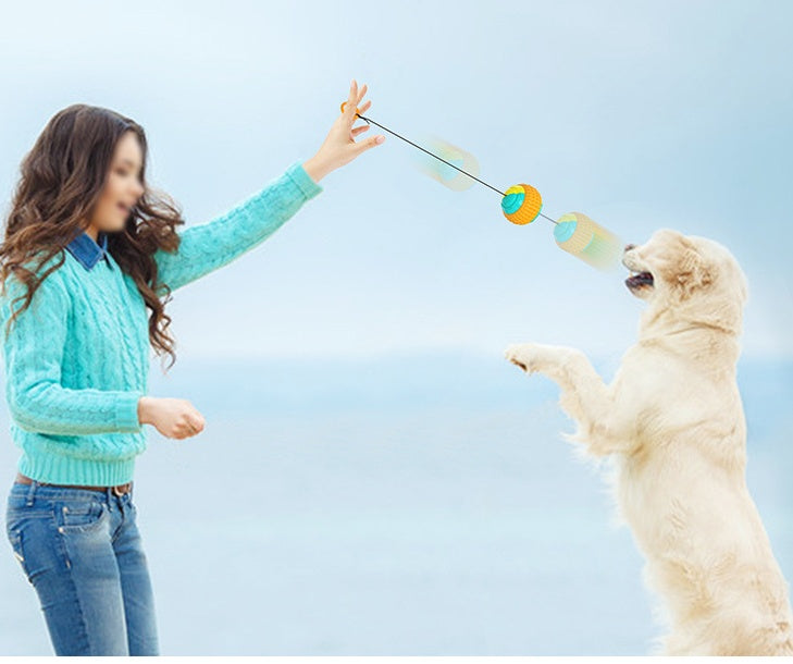 Woman playing with dog using a dog training chew ball with draw rope tug toy for teeth cleaning outdoors