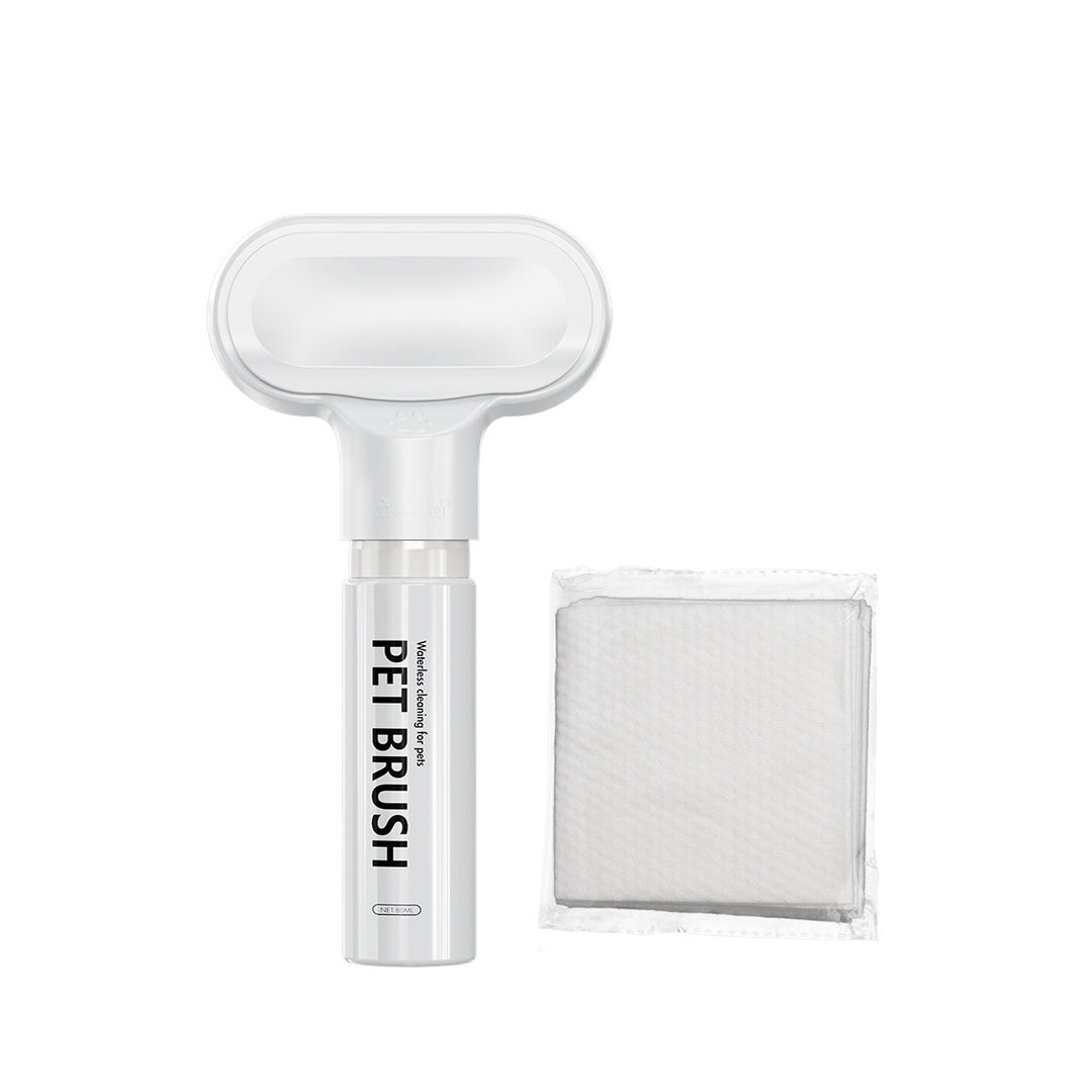 Pet disposable foam lint brush with replaceable pads for easy fur removal and grooming of dogs and cats.