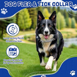 Load image into Gallery viewer, 2 Pack Flea &amp; Tick Treatment &amp; Prevention Collar for Dogs &amp; Cats | 8 Months Protection | Vet-Recommended | Adjustable One Size, Kills Fleas, Ticks &amp; Repels Mosquitoes

