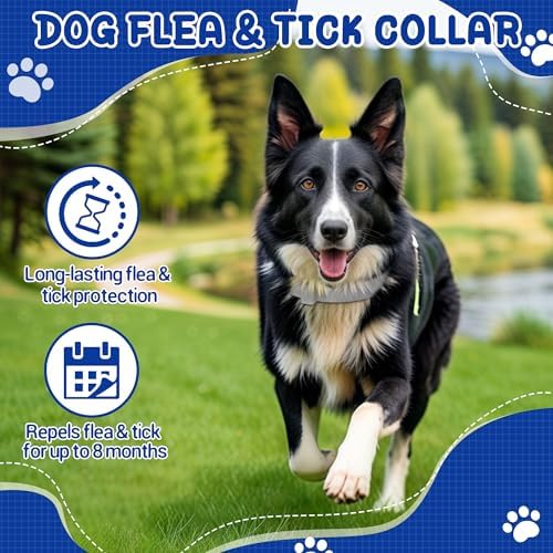 2 Pack Flea & Tick Treatment & Prevention Collar for Dogs & Cats | 8 Months Protection | Vet-Recommended | Adjustable One Size, Kills Fleas, Ticks & Repels Mosquitoes