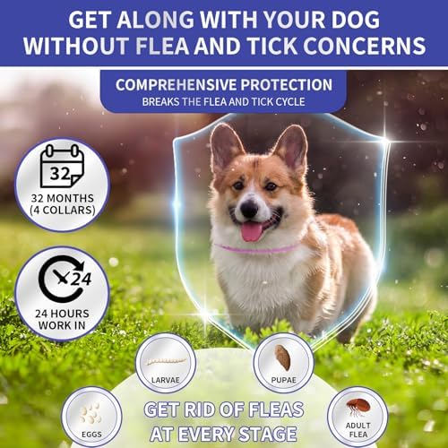 2 Pack Flea & Tick Treatment & Prevention Collar for Dogs & Cats | 8 Months Protection | Vet-Recommended | Adjustable One Size, Kills Fleas, Ticks & Repels Mosquitoes