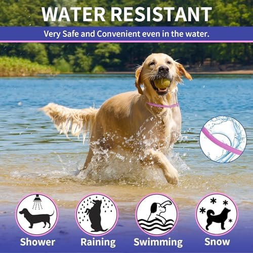 2 Pack Flea & Tick Treatment & Prevention Collar for Dogs & Cats | 8 Months Protection | Vet-Recommended | Adjustable One Size, Kills Fleas, Ticks & Repels Mosquitoes