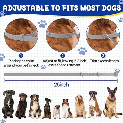 2 Pack Flea & Tick Treatment & Prevention Collar for Dogs & Cats | 8 Months Protection | Vet-Recommended | Adjustable One Size, Kills Fleas, Ticks & Repels Mosquitoes