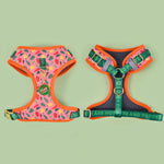 Load image into Gallery viewer, Colorful breathable adjustable dog harness with no-pull polyester straps for small to large dogs, lightweight and durable design
