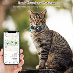 Load image into Gallery viewer, Tabby cat wearing a blue reflective adjustable Airtag pet collar with bell next to a hand holding a phone tracking the cat&#39;s location.
