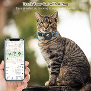 Tabby cat wearing a blue reflective adjustable Airtag pet collar with bell next to a hand holding a phone tracking the cat's location.