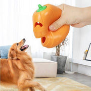 Hand holding indestructible pumpkin-shaped chew toy near attentive golden retriever dog indoors