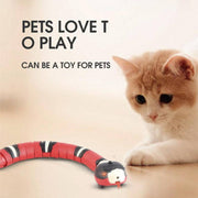 Curious kitten watching interactive electric snake toy with glowing eyes on a smooth floor surface.