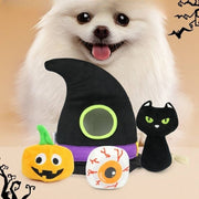 Halloween pet hat sounding toy set with pumpkin, black cat, and eyeball squeak toys for cats and dogs