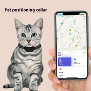 Gray tabby cat wearing a waterproof GPS pet tracker collar with a smartphone displaying the pet’s location on a map.