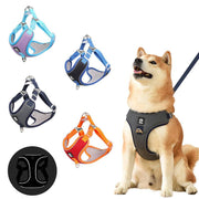 Adjustable mesh pet harness in various colors with reflective strips, shown on a happy dog sitting with leash attached