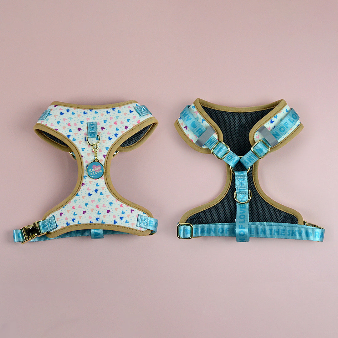 Two adjustable breathable dog harnesses for small to large dogs with durable polyester straps and metal buckles.