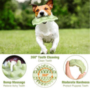 Small dog chewing green bite-resistant teeth cleaning chew toy with textured bumps for massage and dental care