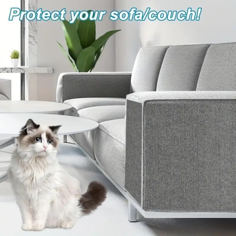Fluffy cat next to a grey sofa with a DIY self-adhesive cat scratcher protector on the armrest.