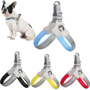 Adjustable no-pull reflective pet harness in multiple colors, comfortable for dog and cat walking and training sessions.
