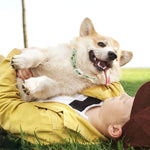 Load image into Gallery viewer, Happy dog wearing flea and tick repellent collar being held by person lying on grass outdoors
