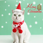 Load image into Gallery viewer, White cat wearing a knitted red plaid Christmas scarf and Santa Claus hat against a green festive background
