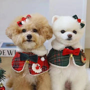 Two small dogs wearing festive Christmas shawl cloaks with bells and hairpins for pets during holiday season
