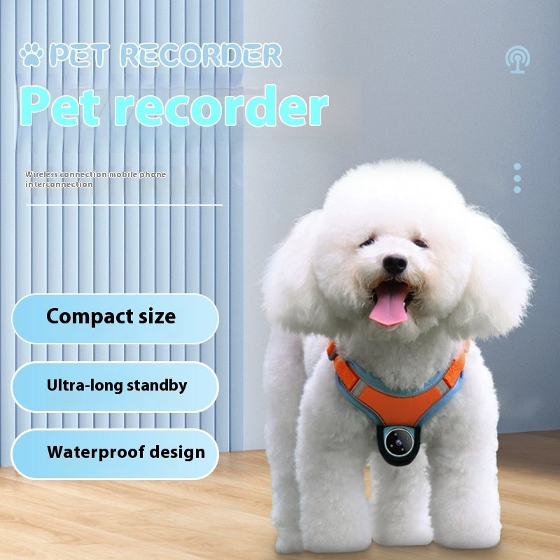 Fluffy white dog wearing an orange pet recorder collar with GPS, camera, waterproof design, and ultra-long standby features.