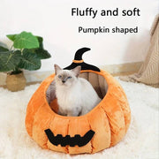 Cat sitting inside a soft, fluffy pumpkin-shaped pet bed with a Halloween-themed black stem on top