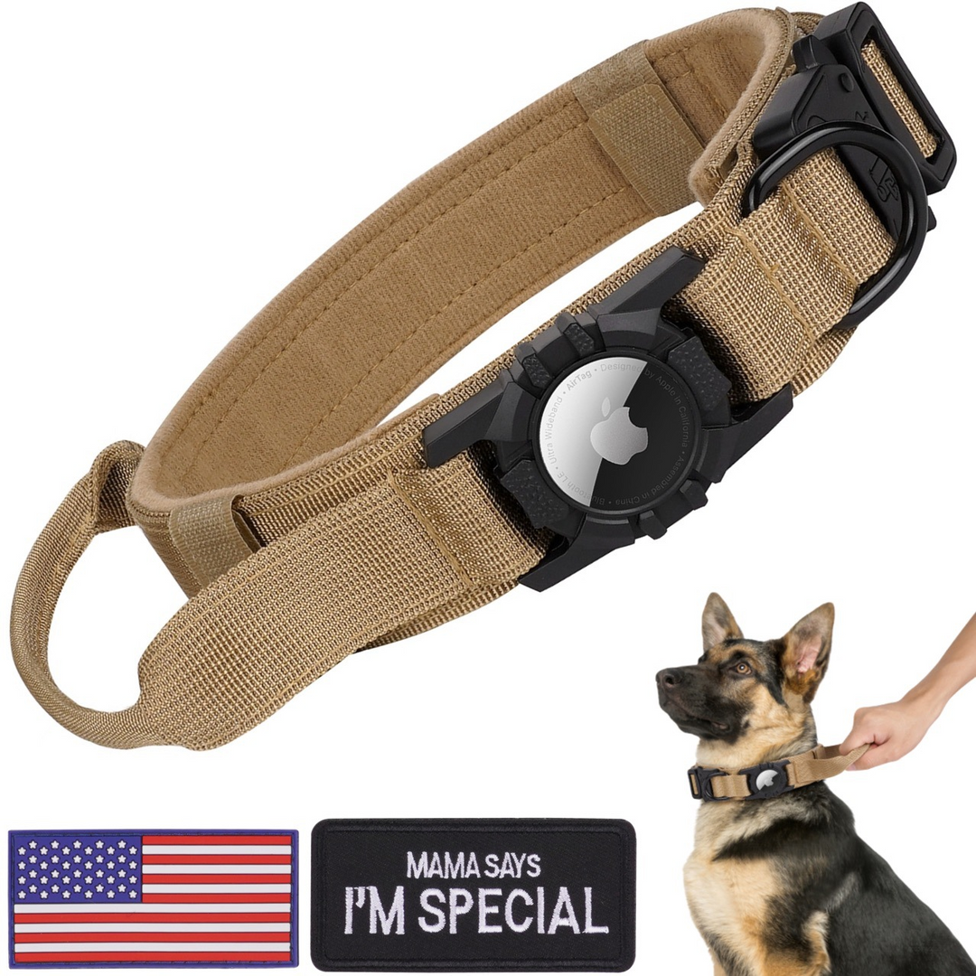 Tan dog collar with protective Airtag holder shown with patches and German Shepherd wearing collar