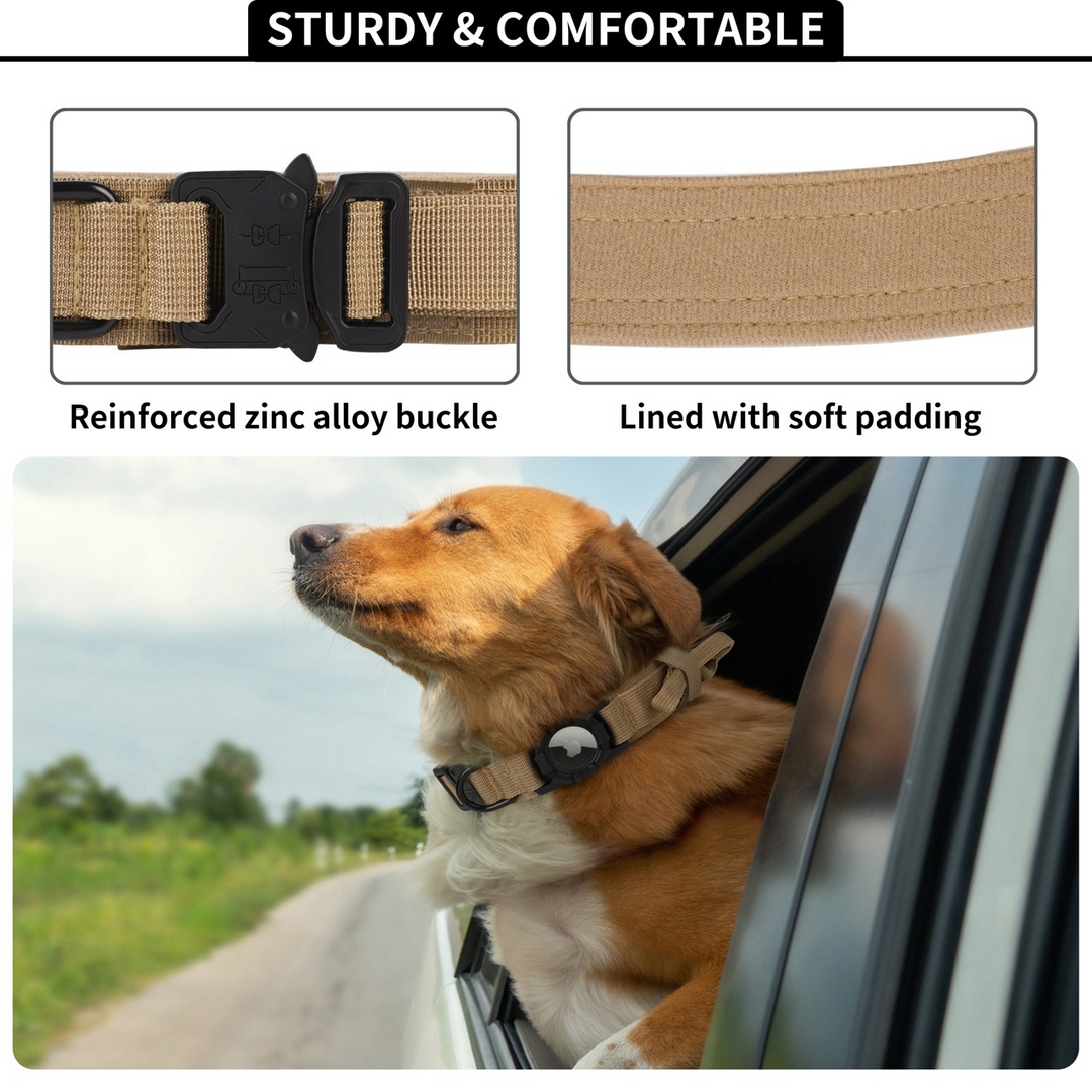 Dog wearing Airtag dog collar with reinforced zinc alloy buckle and soft padded lining by car window outdoors