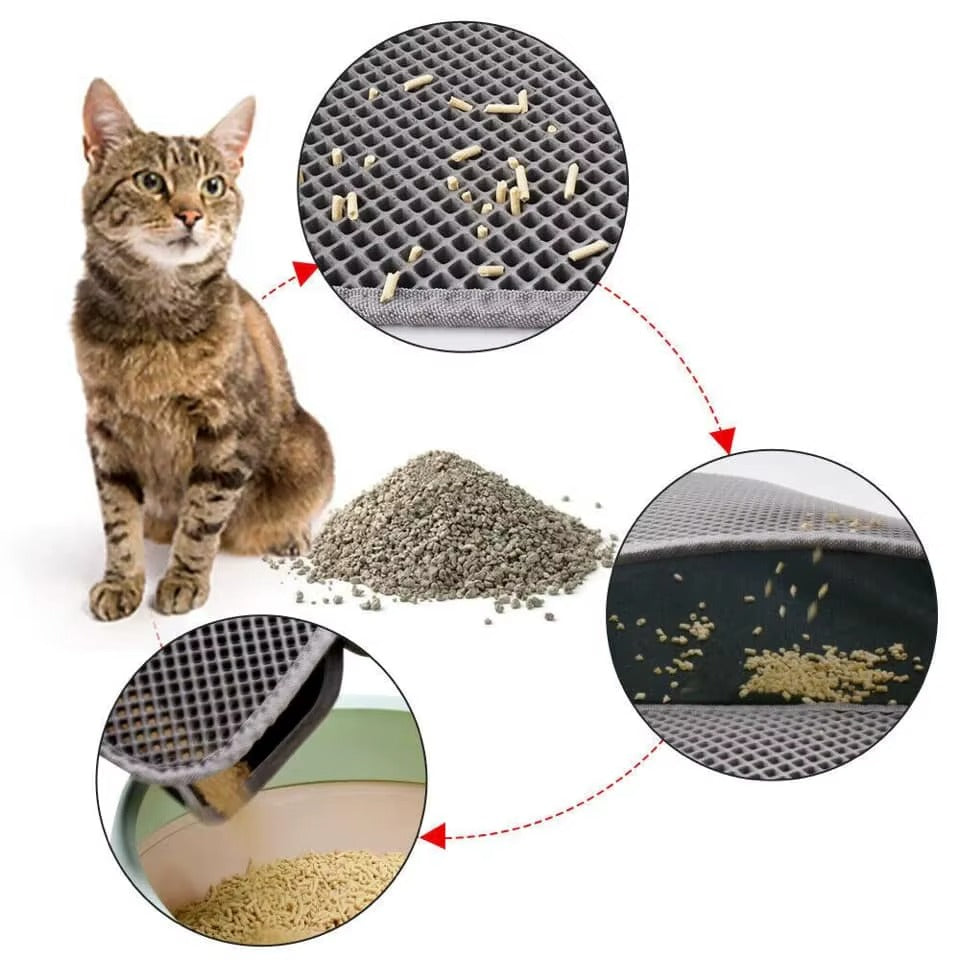 Cat with cat litter, scoop, and close-up of litter texture on a white background