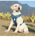 Load image into Gallery viewer, Large dog wearing blue reflective adjustable Army Dog Harness sitting outdoors on grass with mountains in background
