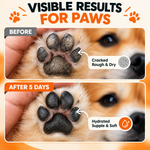 Load image into Gallery viewer, Dog walking on sandy beach with paw balm protection