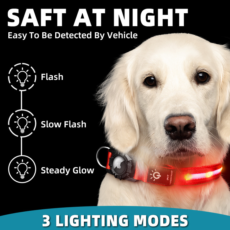 Golden retriever wearing a glowing red Airtag pet collar with three lighting modes for night visibility and safety from vehicles.