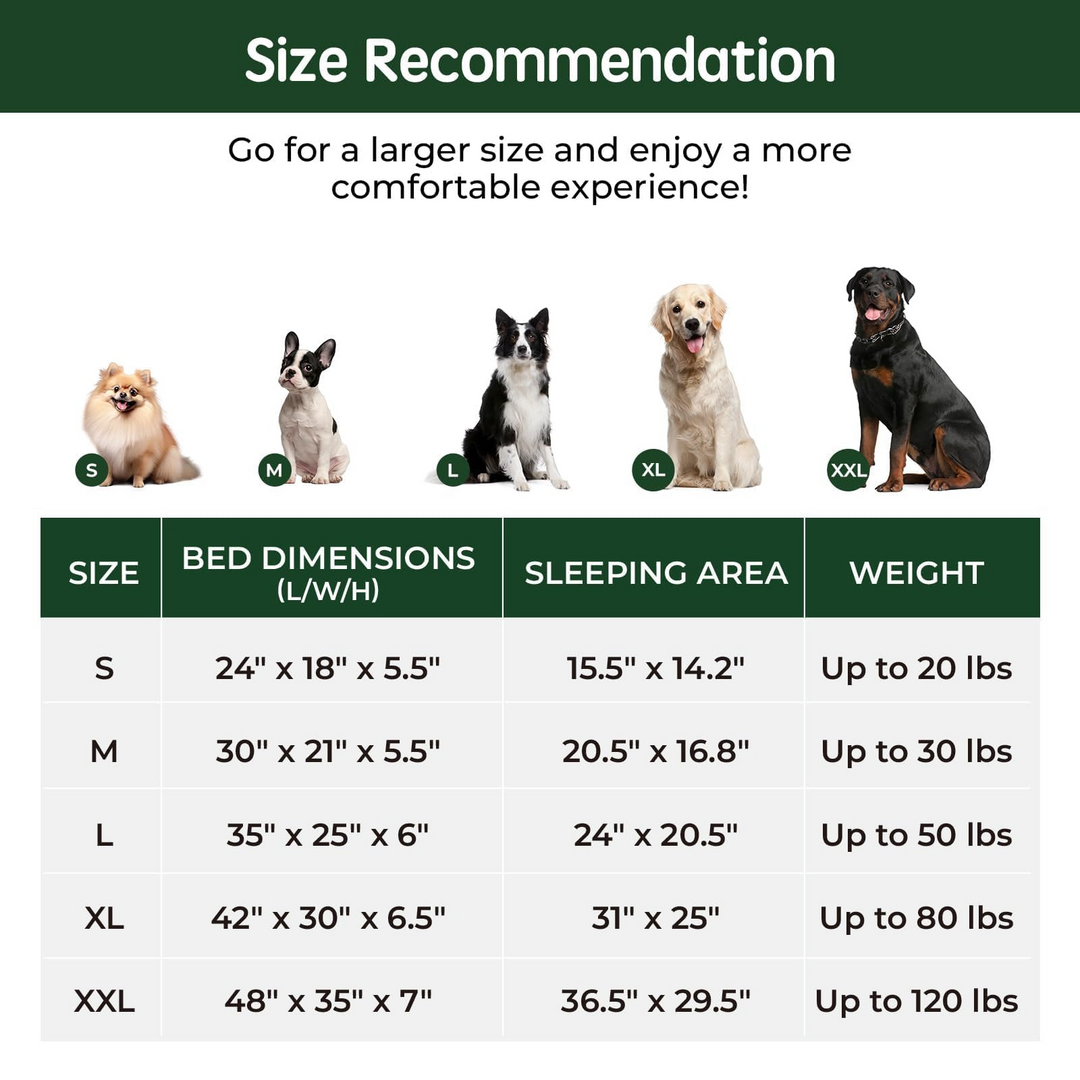 Orthopedic dog bed size chart with dimensions, sleeping area, and weight limits for small to XXL dogs shown with dog images.