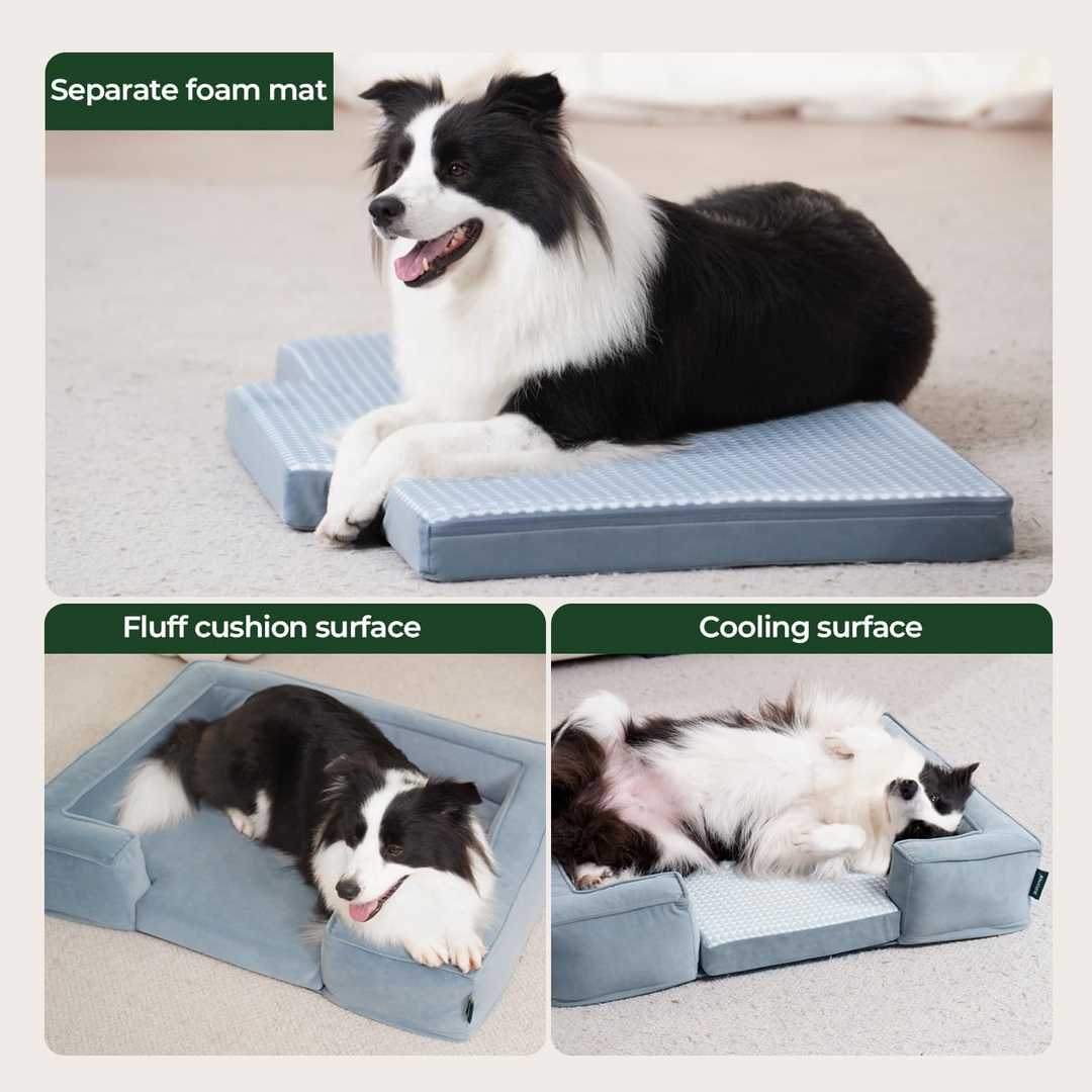 Black and white dog resting on orthopedic dog bed with separate foam mat and cooling surface options