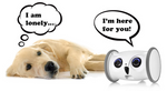Load image into Gallery viewer, Smart Owl Pet Toy – Camera + Snack Dispenser Robot Ather Craft LLC

