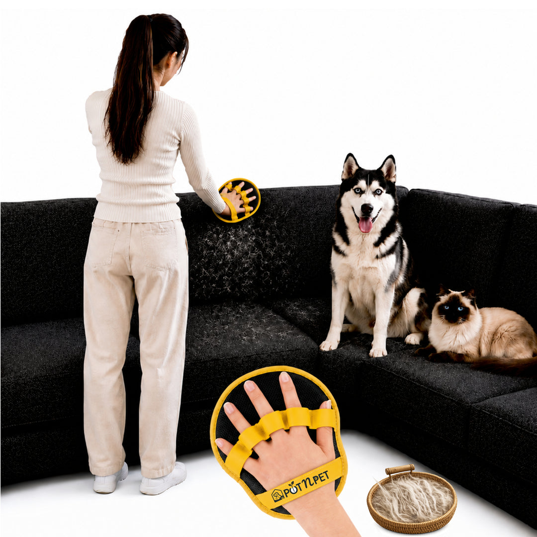 Pet Hair Remover Glove for Dogs & Cats, Electrostatic Reusable Grooming Glove, 5 Finger Deshedding Brush, Dog & Cat Hair Remover Tool for Furniture, Couch, Carpet, Car Seat & Clothes