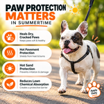 Load image into Gallery viewer, Lick-Safe Dog Paw Balm | Hot Pavement &amp; Sand Protection