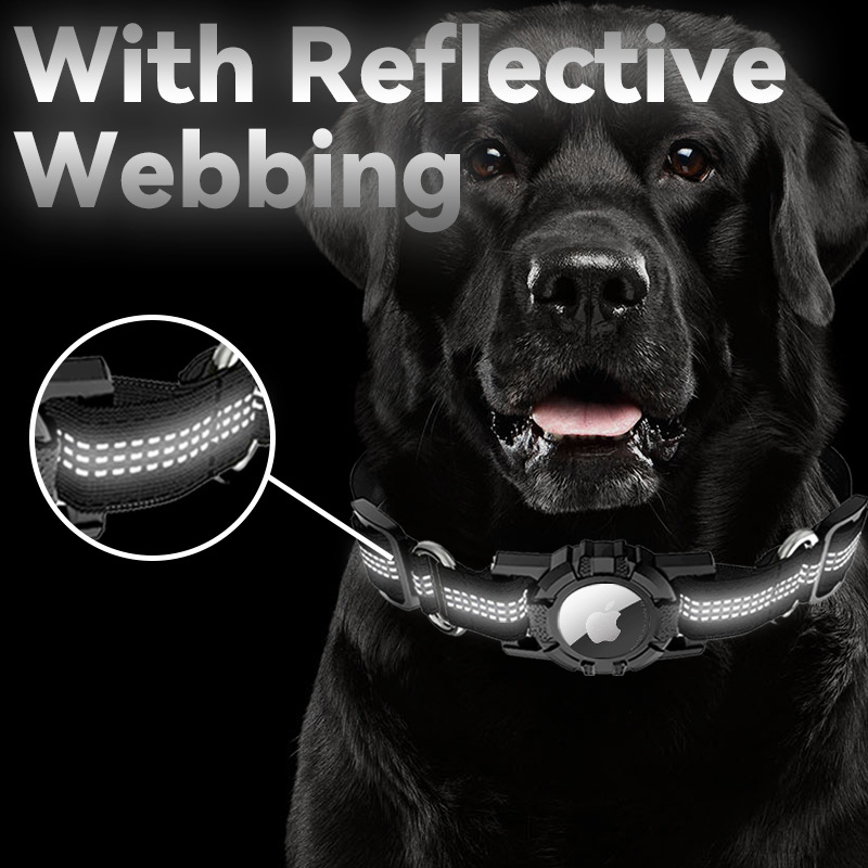 Black dog wearing a reflective Airtag dog collar with smart tracker case and glowing reflective webbing at night