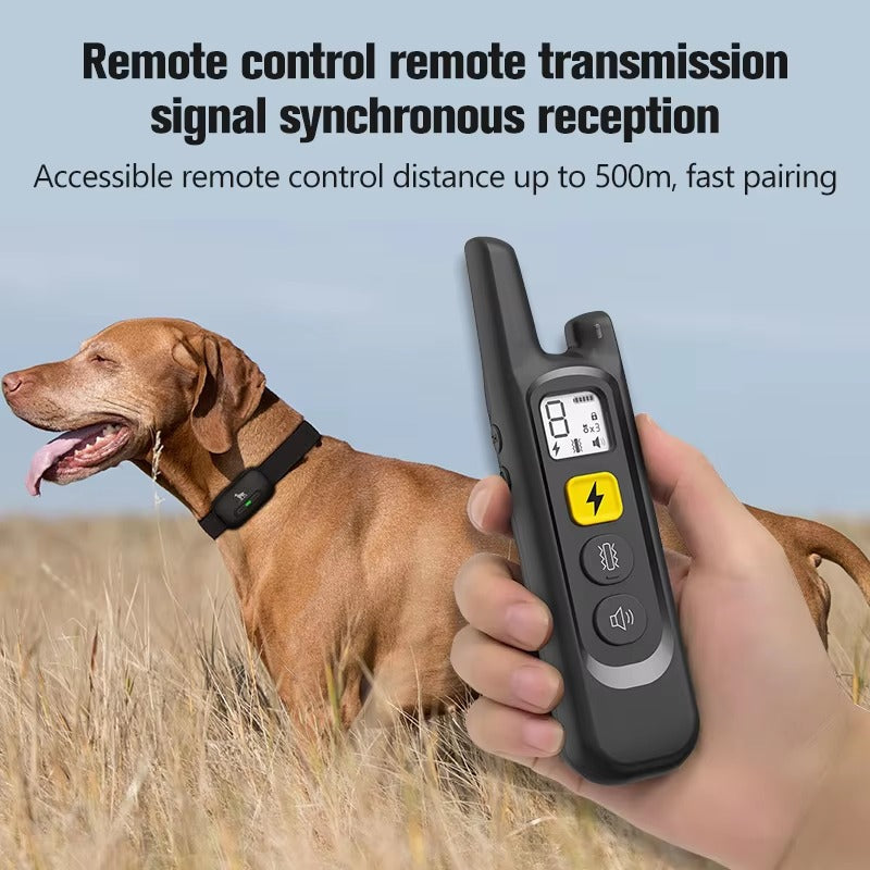 Hand holding remote dog training collar transmitter with brown dog wearing anti-bark shock correction collar outdoors