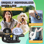 Load image into Gallery viewer, Remote dog training collar with shock-lock, user-friendly remote, pocket-safe design, and lanyard for easy control.
