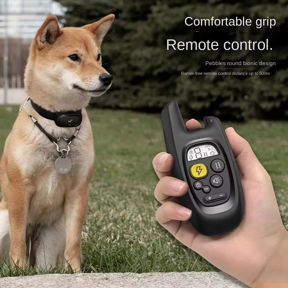 Hand holding remote control for anti-bark dog training collar worn by sitting dog outdoors on grass background