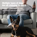 Load image into Gallery viewer, Black and tan dog wearing a remote training collar lying on the floor with person holding remote in background
