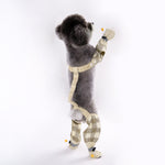Load image into Gallery viewer, Soft Polyester Fabric of Dog Winter Pants – Durable and Breathable Pet Clothing
