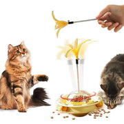 Cat playing with a yellow feather turntable toy with scattered kibble on a white background