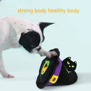 Boston terrier dog playing with black cat Halloween pet hat chew and squeak toy for cats and dogs
