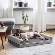Medium dog lying on a grey orthopedic egg foam dog bed with waterproof, washable sofa-style cover in a bright living room