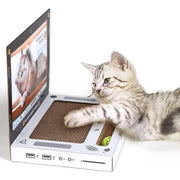 Gray tabby kitten playing with a computer-shaped cardboard cat scratch board lounge toy for indoor cats
