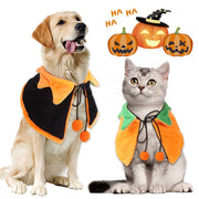 Dog and cat wearing reversible Halloween pumpkin cloaks for festive costumes and parties with illustrated pumpkins above.