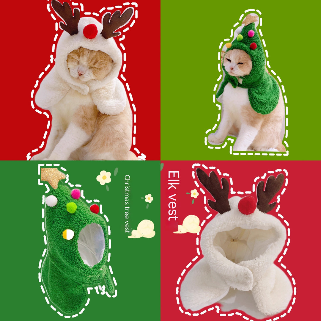 Cat dressed in cozy antler and Christmas tree pet costume vests for holiday or New Year’s celebration