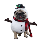 Pug dog wearing a Christmas snowman costume with black hat, red scarf, and stick arms for holiday dress up