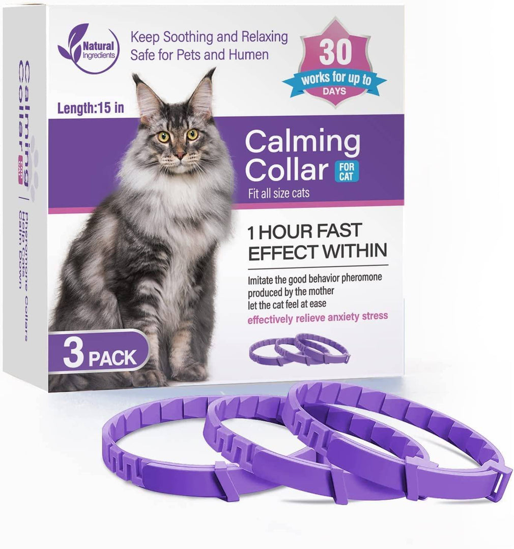 Relaxing lavender cat collar USA
